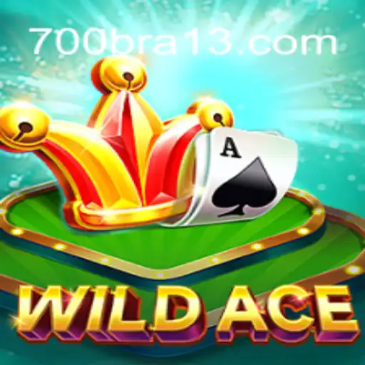 Explorando o Mundo de WildAce: Um Mergulho nas Regras e Dinâmicas do Jogo